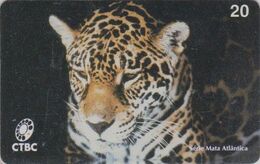 RARE Télécarte BRESIL - CTBC - ANIMAL - Félin JAGUAR - Feline BRAZIL BRASIL  Phonecard - Raubkatze Telefonkarte - 127 - Brasil