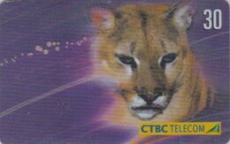 Télécarte BRESIL - CTBC - Série 02/10 - ANIMAL - Félin PUMA - Feline BRAZIL BRASIL Phonecard - 139 - Brasile