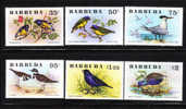 Barbuda 1976 Birds MNH - Barbuda (...-1981)