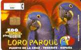 TARJETA DE ESPAÑA DE DOS PAPAGAYOS (LORO-PARROT) - Perroquets