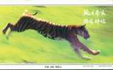 Tiger   ,   Prepaid Card  , Postal Stationery - Rhinozerosse