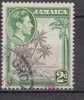 Jamaïque YT 126 Obl : Cocotier - Jamaica (1962-...)