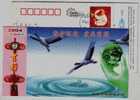 Crane Bird And Green Earth,China 2004 Jinxian Environmental Protection Bureau Advertising Pre-stamped Card - Kranichvögel