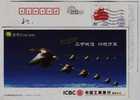 Swan Goose Bird,China 2009 ICBC Bank Cards Advertising Pre-stamped Card - Ganzen
