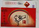 Taekwondo,tae Kwon Do,cartoon Mouse,olympic Event,China 2008 Tianjin Post Lunar New Year Of Rat Pre-stamped Card - Unclassified