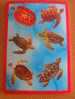 LOT CARTE POSTALE NEUVE THEME TORTUES - Tortugas