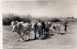 Nigeria P 2410 Kano  Province  Dale Series - Nigeria