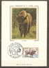 France  Carte Maximum Ref 1 Bison  25.5.1974 Mouzon - Animalez De Caza