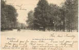 BRUSSEL - BRUXELLES  La Cloche Au Bois De La Cambre  1903 Nels Bruxelles Serie  1 No 175 - Foreste, Parchi, Giardini