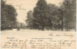 BRUSSEL - BRUXELLES  La Cloche Au Bois De La Cambre  1903 Nels Bruxelles Serie  1 No 175 - Forêts, Parcs, Jardins