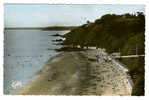 {67441} 22 Côtes Du Nord Côtes D´Armor Etables Sur Mer , La Plage Des Godelins Et Pointe Du Corps De Garde ; Animée - Etables-sur-Mer