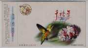 Spring Emissary,Humming Bird,China 2000 New Millennium Advertising Pre-stamped Card - Colibrì