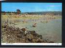 Judges Postcard Oxwich Beach Gower Peninsula Glamorgan Wales -  Ref 360 - Glamorgan