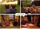 Teddy Bear Postcard -  Carte Postale D´Ours En Peluche - Ours