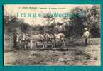 AFRIQUE  - CONGO - LABOURAGE à La CHARRUE - ANE - ASS - EZEL - ATTELAGES D'ANES - Congo Francese