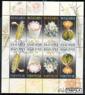 BULGARIA - 2009 - Cactus - PF Used - Used Stamps