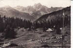 Jardin Alpin - Courchevel