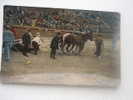 Espana  - El Arrastre  - Dragling The Dead  Bull -Corrida    -cca 1910  F  D50406 - Stieren