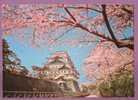 NAGOYA - Main Castle Building Embosomed With Cherry Trees In Full Bloom N° 2 - Nagoya