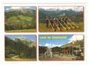 Suisse- Schweiz -Zwitserland Switzerland. Lenk Im Simmental( 2scans) - Lenk Im Simmental