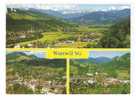 Suisse- Schweiz -Zwitserland Switzerland.Wattwil SG( 2scans) - Wattwil