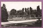 TOURCOING - Jardin Botanique. Ed. POLLET Lille N° 15. Photo Véritable. Dentelée Non Circulé. 2 Scans - Tourcoing