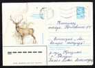 Chevreuil  Russie ,Roe Deer Romania 1 COVER Stationery 1984  Very Rare HUNTING. - Wild