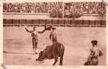 Arènes De Nimes - Corrida - Une Estocade Foudroyante - Stieren