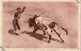 Arènes De Nimes - Corrida - Pose De Banderilles - Stiere