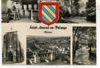 SAINT AMAND EN PUISAYE . Diverses Vues . Voir Recto - Verso    (C735) - Saint-Amand-en-Puisaye