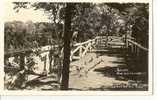 QUEBEC  Carte Photo St Jean Port Joli  P Qué Terrasse Ance Aux Sauvages , Made In Canada ( Au Dos) - Québec - Les Rivières