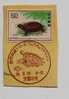 Japan 1976 Nature Conservation Series Turtle Stamp On Cut Square 1st Day Special PMK Cancel - Tartarughe