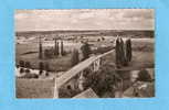 CPSM - La Roche Posay - Lieu De Cure -Route De Preuilly Et Le Pont    -86- Vienne - La Roche Posay