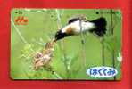 Japan Japon  Telefonkarte Télécarte Phonecard Telefoonkaart - Bird  Vogel  Oiseau - Passereaux