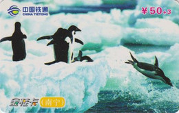 Télécarte CHINE - ANIMAL - OISEAU - MANCHOT ADELIE -  PENGUIN BIRD CHINA TIETONG Phonecard - PINGUIN - 157 - China