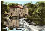 CPSM     87    BUSSIERE POITEVINE     1970       LE MOULIN BERGER - Moulins à Eau