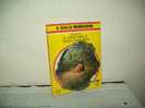 Il Giallo Mondadori (Mondadori) N. 1624  "Il Caso Della Testa Tagliata" - Thrillers