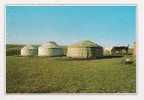 Mongolie. YOURTES Dans La Steppe - Mongolia