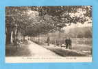 CPA - ORSAY - Bords Du Lac De L'Yvette- Animée- Promeneurs - 91-Essonne - Orsay