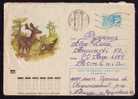 Chevreuil Russia Stationery Cover Roe Deer 1974 Russia. - Game
