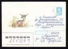 Chevreuil Russia Stationery Cover Roe Deer 1988 Russia. - Game