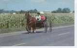 (EUA92) THE AMISH COURTING BUGGY (MORMONS) - Autres & Non Classés