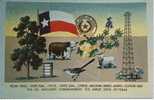 (EUA99) TEXAS . PECAN TREES , STATE FLAG, CATTLE, STATE SEAL, CITRUS, OIL INDUSTRY , ... - Other & Unclassified