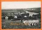 95 - VETHEUIL - Vue Générale Sur Lavacourt Et La Roche Guyon - Bergere Avec Ses Moutons - Cpsm Grand Format - Vetheuil