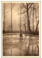 KORTENBERG -ABDIJ-ABBAYE  -reflets Sur La Glace-patinage - Kortenberg