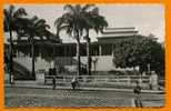 Guadeloupe :Le Palais De Justice à L'ombre Des Palmiers. - Pointe A Pitre