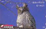 Télécarte Japon / 430-8678 - Oiseau HIBOU - OWL Bird Japan Phonecard - EULE - 203 - Owls