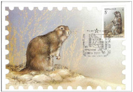 Russia USSR 1987 Kart Maximum Rodents Rodent - Maximumkarten