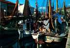 RIVIERA ADRIATICA   BARCHE DA PESCA   NON   VIAGGIATA   COME DA FOTO   ITALY ITALIE  BATEAU  PECHE  Bateaux - Fishing Boats