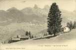 Suisse - Chesières - Les Ecovets Leysin - 1906 - Leysin